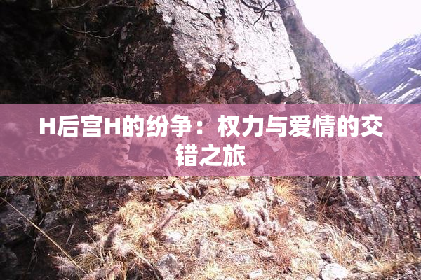 H后宫H的纷争：权力与爱情的交错之旅