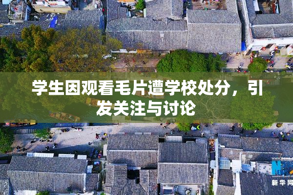 学生因观看毛片遭学校处分，引发关注与讨论