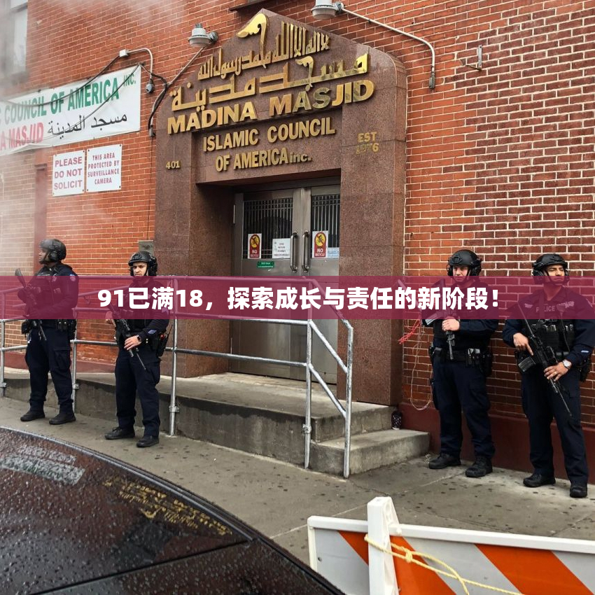 91已满18，探索成长与责任的新阶段！