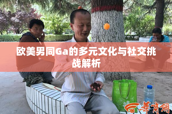 欧美男同Ga的多元文化与社交挑战解析