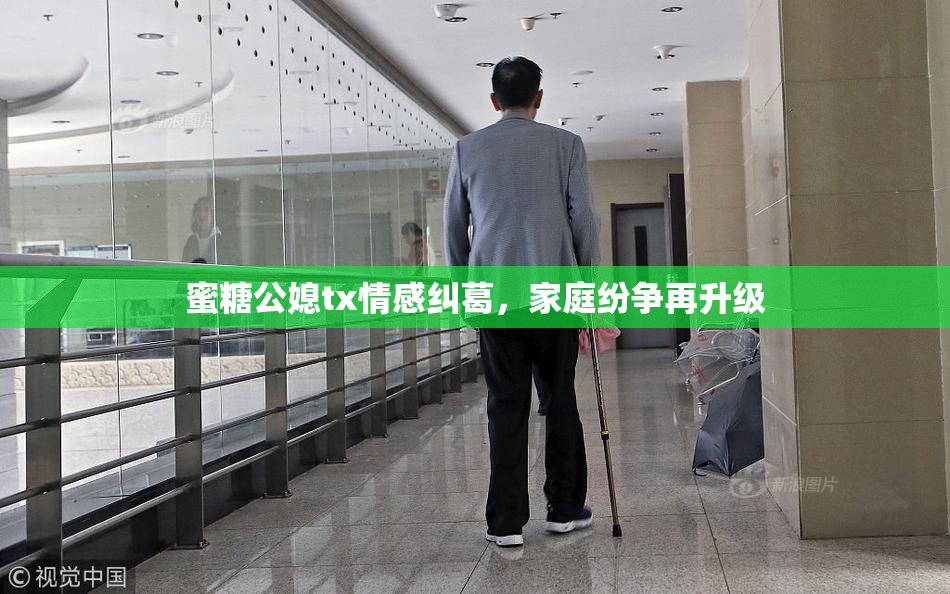 蜜糖公媳tx情感纠葛，家庭纷争再升级