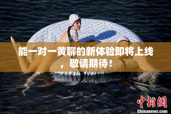 能一对一黄聊的新体验即将上线，敬请期待！