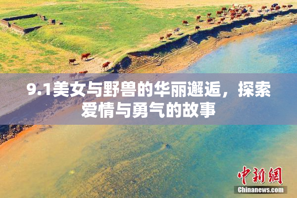9.1美女与野兽的华丽邂逅，探索爱情与勇气的故事
