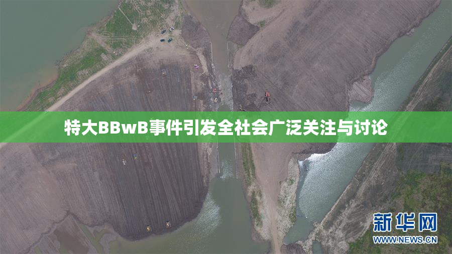 特大BBwB事件引发全社会广泛关注与讨论