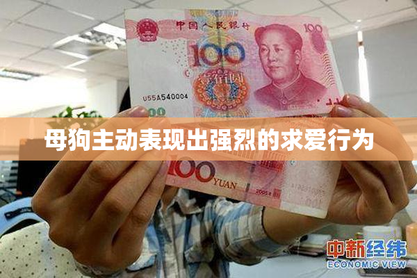 母狗主动表现出强烈的求爱行为