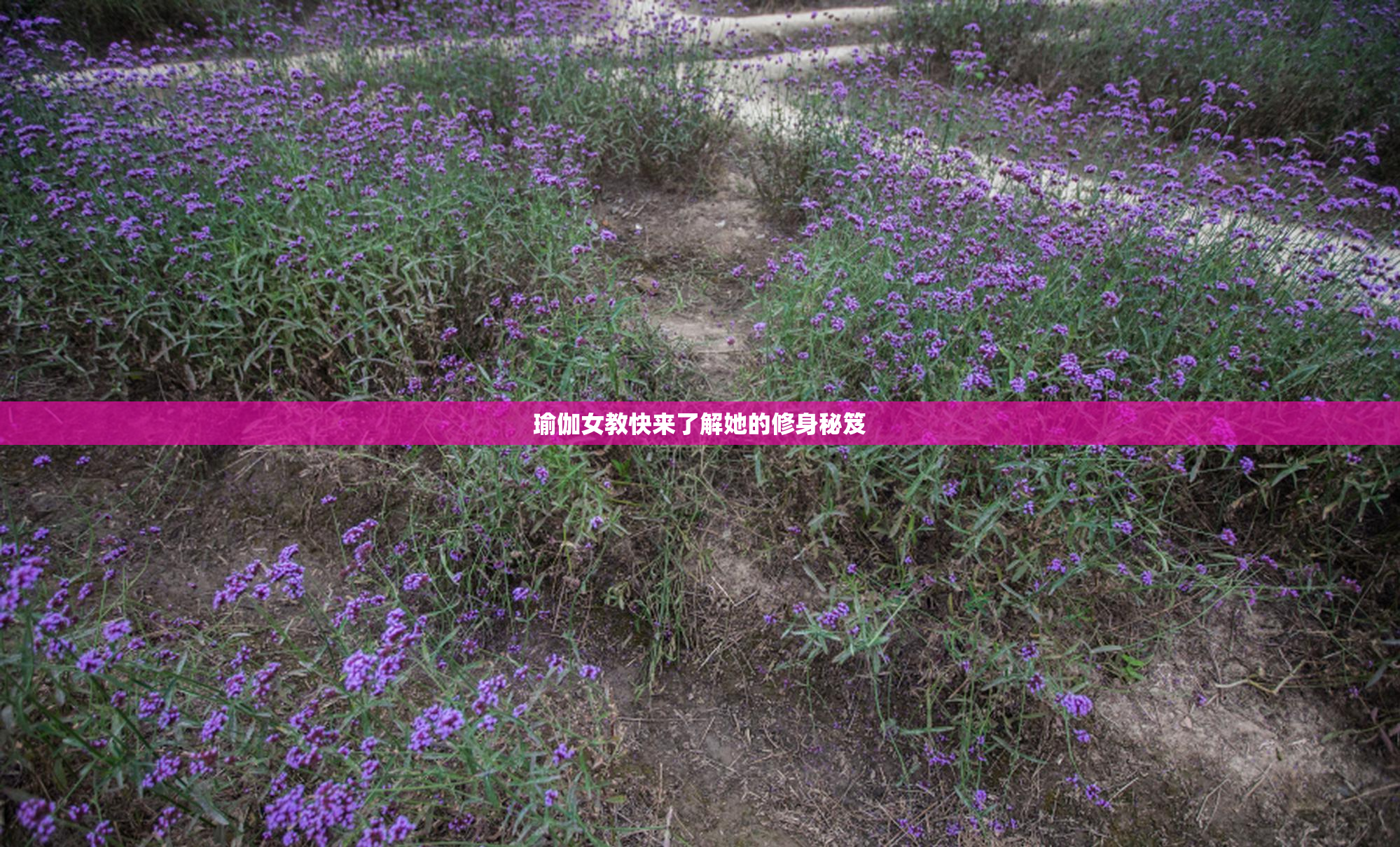 瑜伽女教快来了解她的修身秘笈