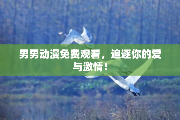 男男动漫免费观看，追逐你的爱与激情！