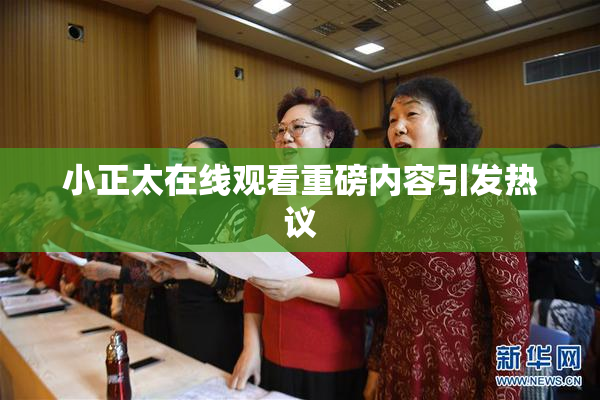 小正太在线观看重磅内容引发热议