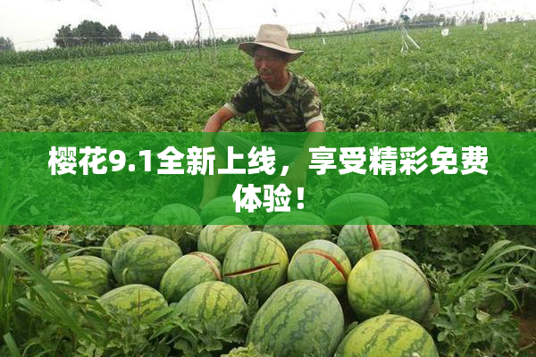 樱花9.1全新上线，享受精彩免费体验！