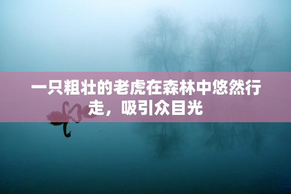 一只粗壮的老虎在森林中悠然行走，吸引众目光