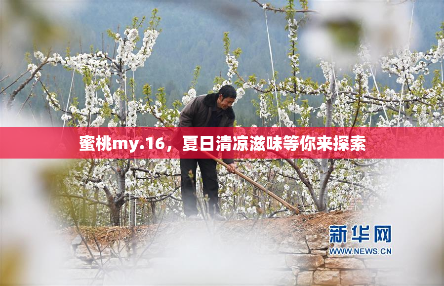 蜜桃my.16，夏日清凉滋味等你来探索