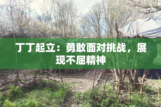 丁丁起立：勇敢面对挑战，展现不屈精神