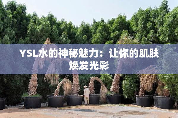 YSL水的神秘魅力：让你的肌肤焕发光彩