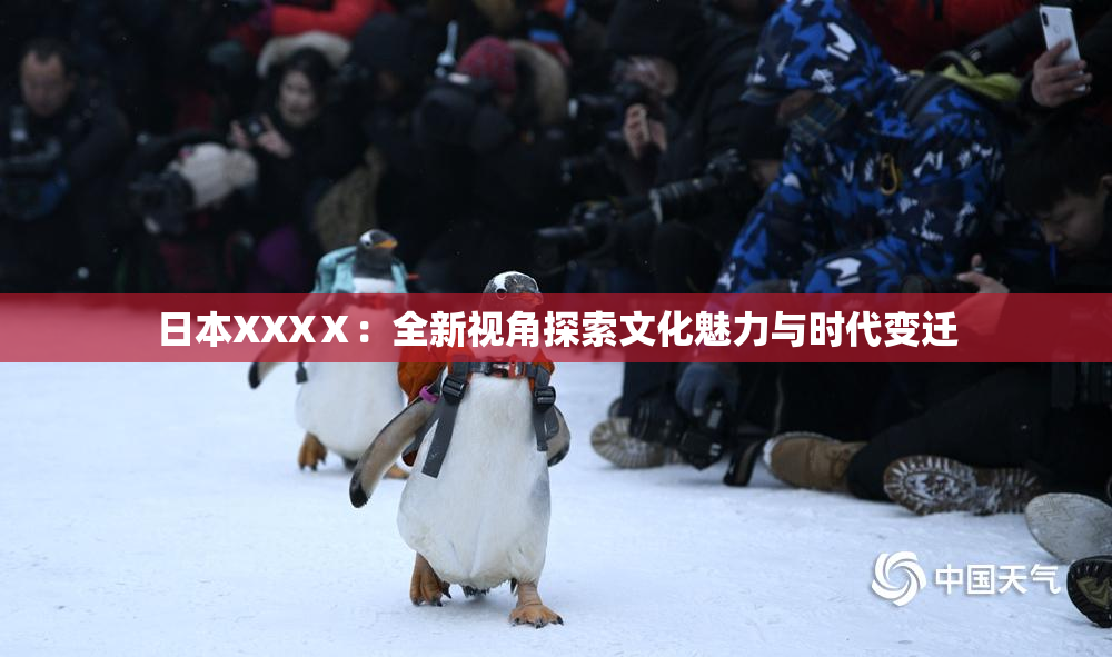 日本XXXⅩ：全新视角探索文化魅力与时代变迁