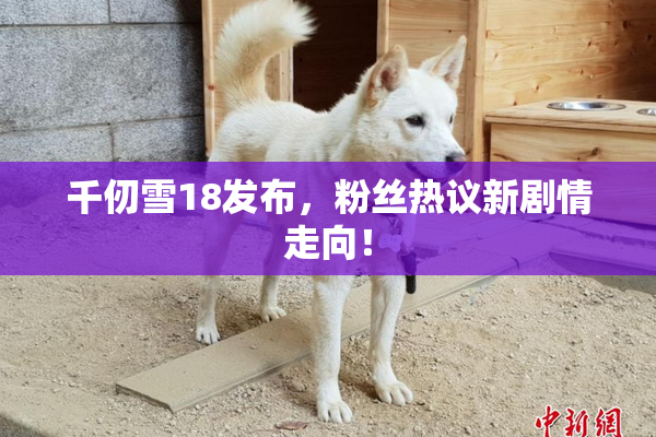 千仞雪18发布，粉丝热议新剧情走向！
