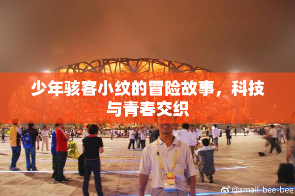 少年骇客小纹的冒险故事，科技与青春交织
