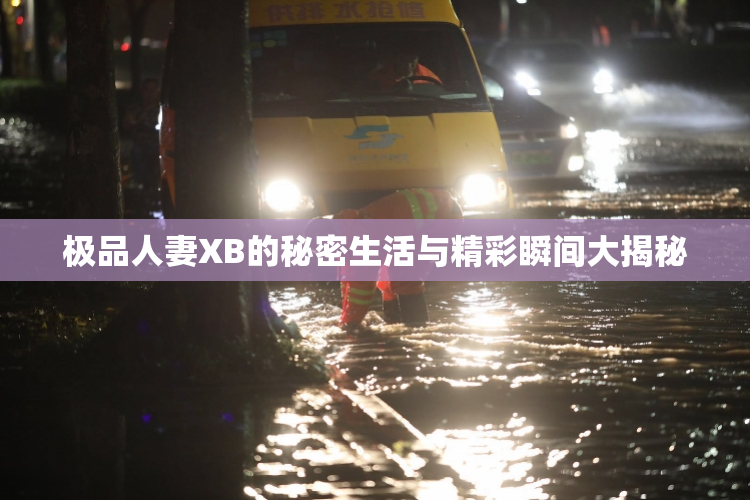 极品人妻XB的秘密生活与精彩瞬间大揭秘