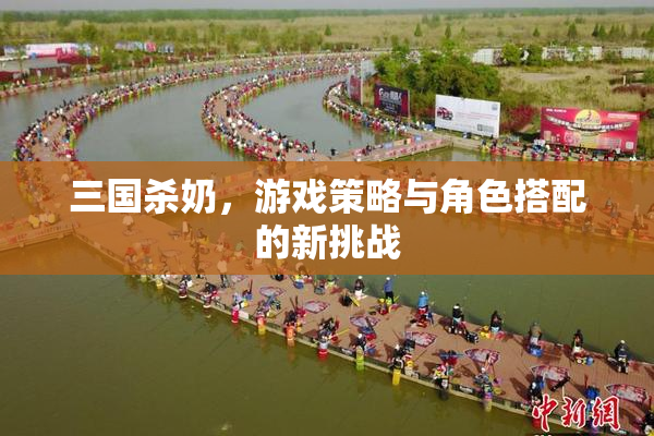 三国杀奶，游戏策略与角色搭配的新挑战