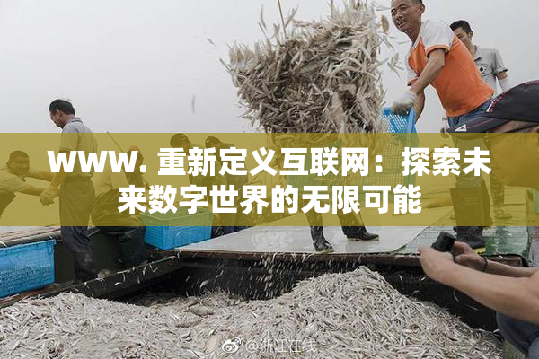 WWW. 重新定义互联网：探索未来数字世界的无限可能