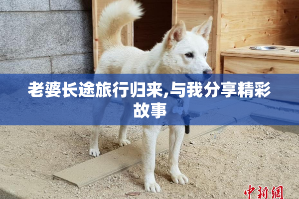 老婆长途旅行归来,与我分享精彩故事