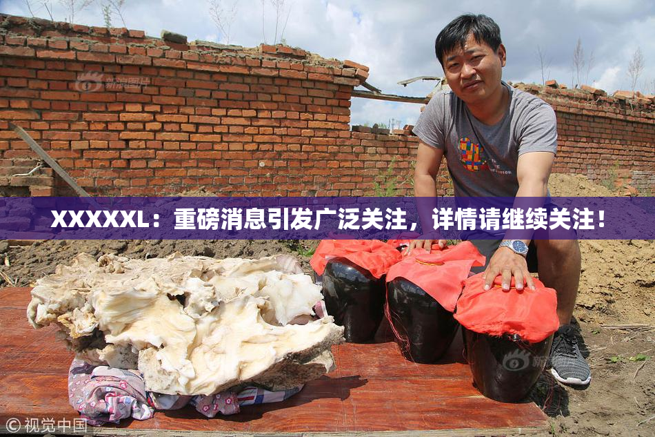 XXXXXL：重磅消息引发广泛关注，详情请继续关注！