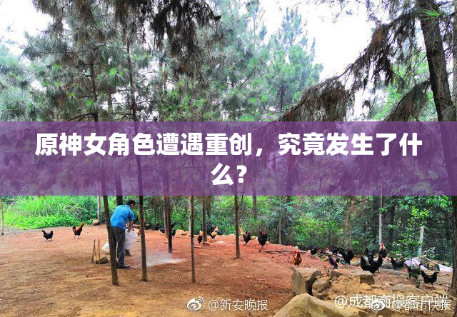 原神女角色遭遇重创，究竟发生了什么？