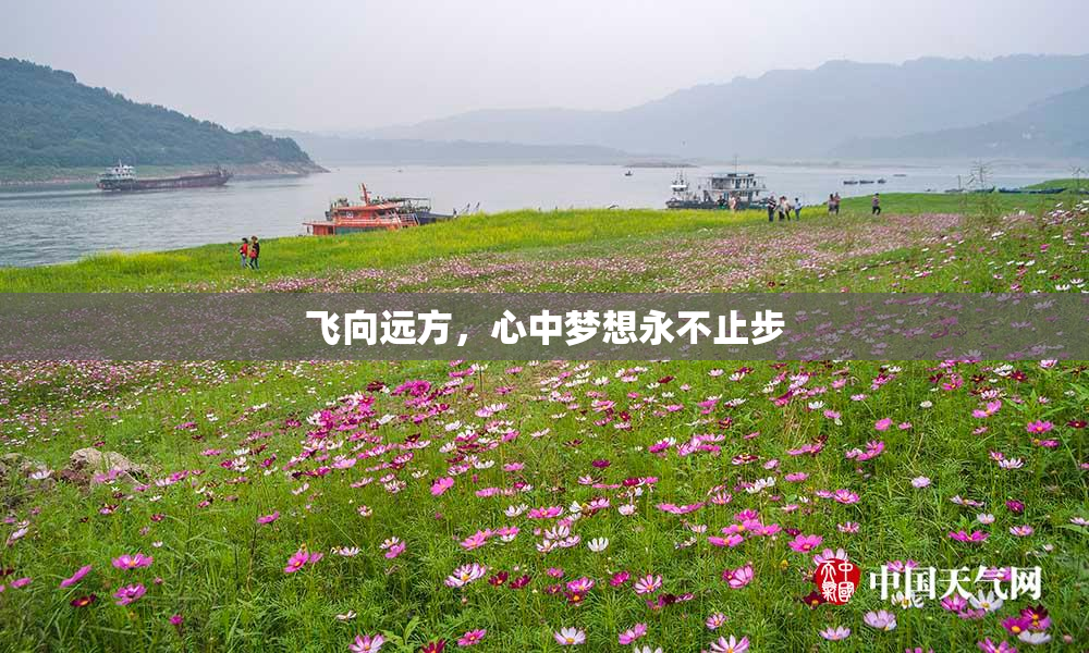 飞向远方，心中梦想永不止步