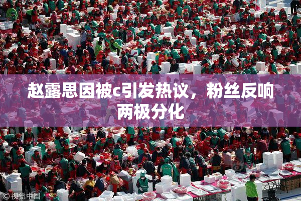 赵露思因被c引发热议，粉丝反响两极分化