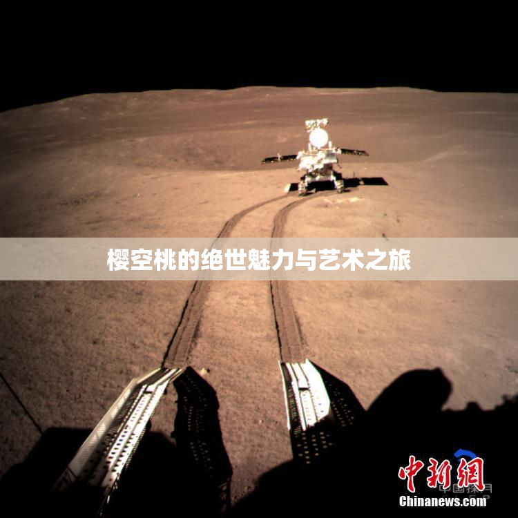 樱空桃的绝世魅力与艺术之旅