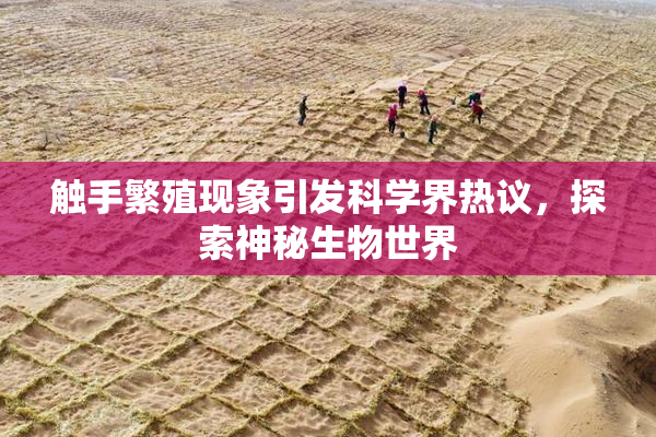 触手繁殖现象引发科学界热议，探索神秘生物世界
