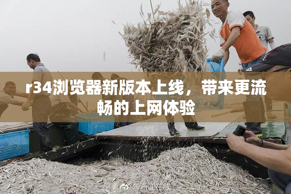 r34浏览器新版本上线，带来更流畅的上网体验