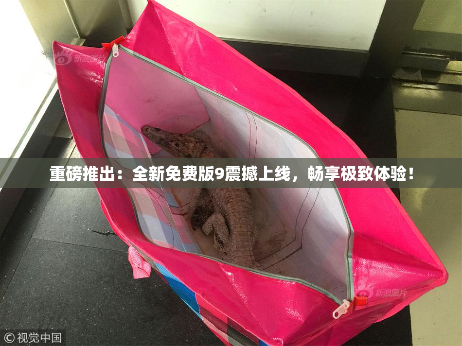 重磅推出：全新免费版9震撼上线，畅享极致体验！