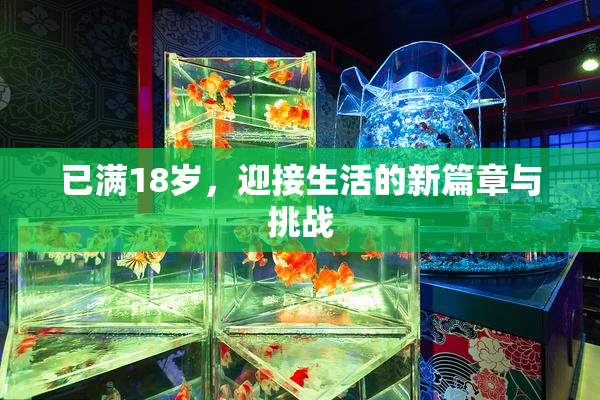 已满18岁，迎接生活的新篇章与挑战