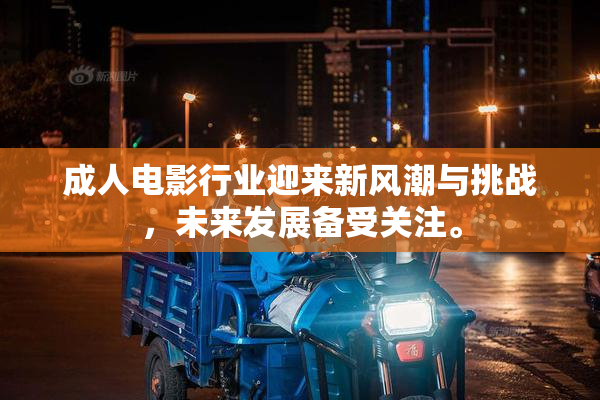 成人电影行业迎来新风潮与挑战，未来发展备受关注。