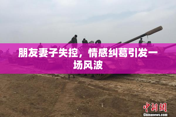 朋友妻子失控，情感纠葛引发一场风波