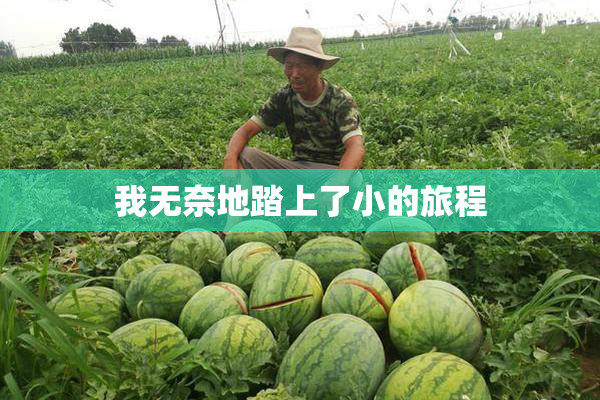 我无奈地踏上了小的旅程