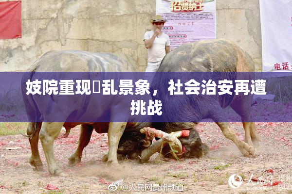 妓院重现婬乱景象，社会治安再遭挑战