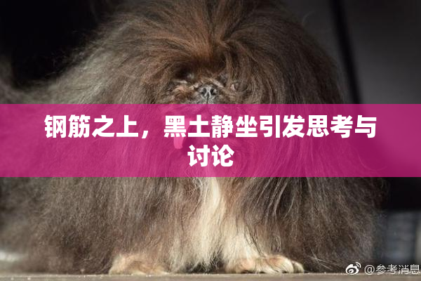 钢筋之上，黑土静坐引发思考与讨论