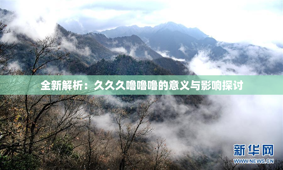 全新解析：久久久噜噜噜的意义与影响探讨