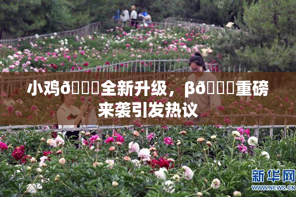 小鸡🐔全新升级，β🔞重磅来袭引发热议