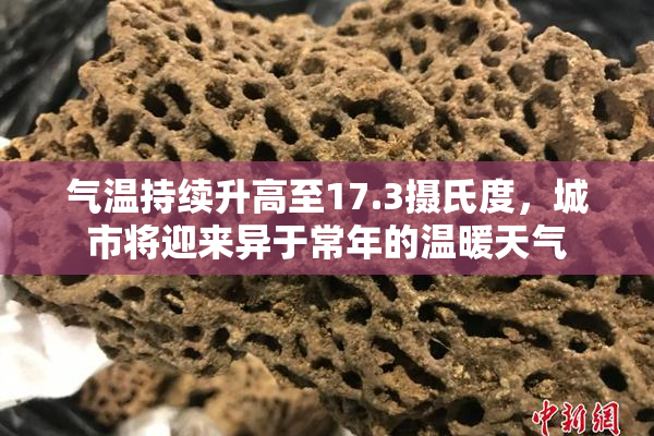 气温持续升高至17.3摄氏度，城市将迎来异于常年的温暖天气