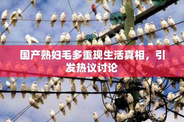 国产熟妇毛多重现生活真相，引发热议讨论