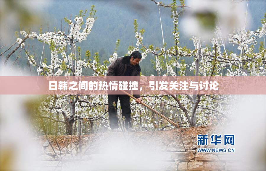 日韩之间的热情碰撞，引发关注与讨论