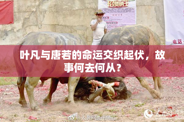 叶凡与唐若的命运交织起伏，故事何去何从？