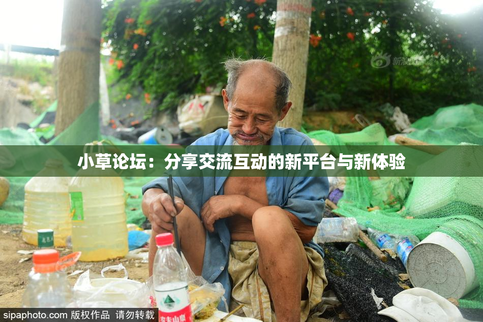 小草论坛：分享交流互动的新平台与新体验
