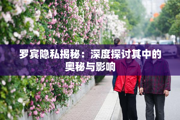罗宾隐私揭秘：深度探讨其中的奥秘与影响
