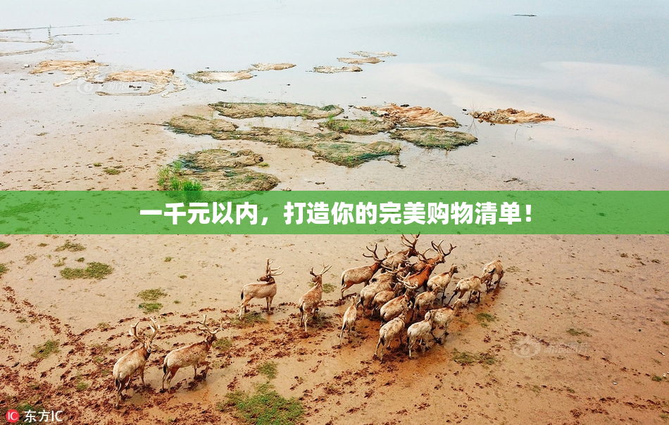 一千元以内，打造你的完美购物清单！