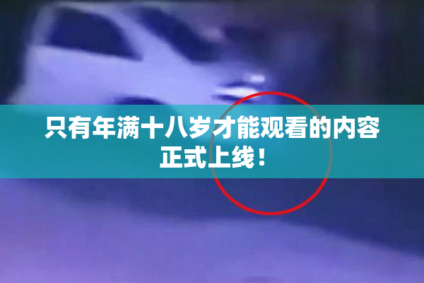 只有年满十八岁才能观看的内容正式上线！