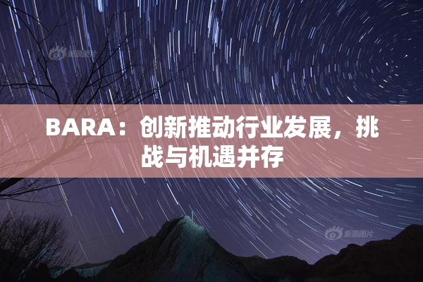BARA：创新推动行业发展，挑战与机遇并存
