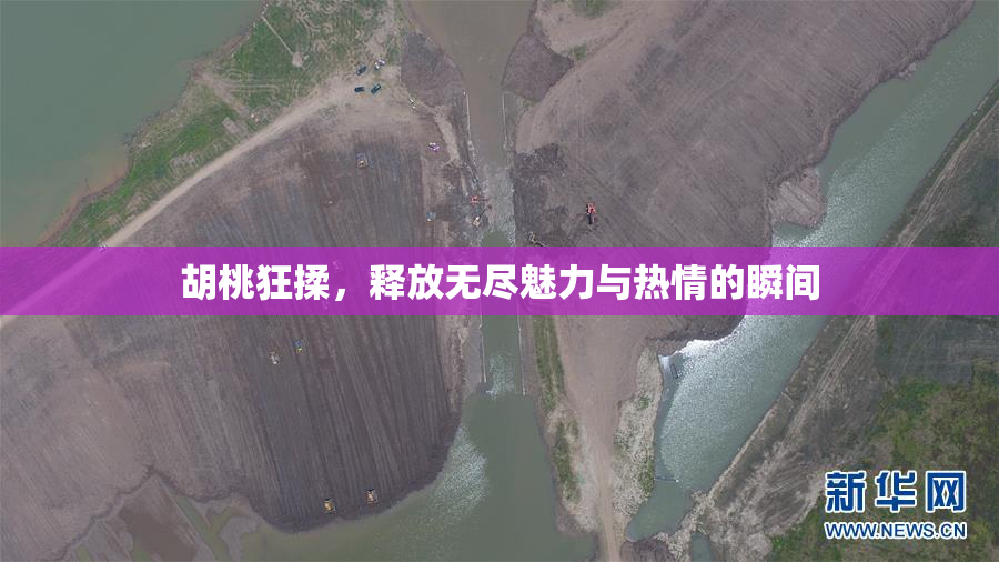 胡桃狂揉，释放无尽魅力与热情的瞬间